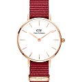 Часы Daniel Wellington Petite Roselyn DW00100293
